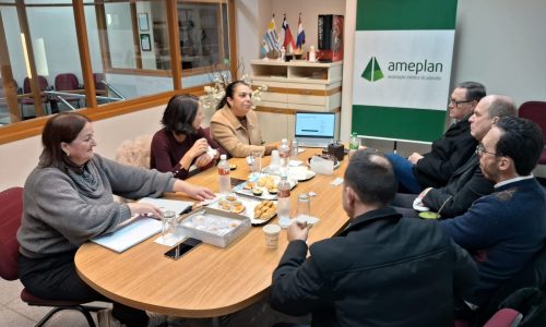 Assemb-Ameplan-26-01