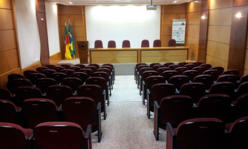 Auditorio-AMEPLAN